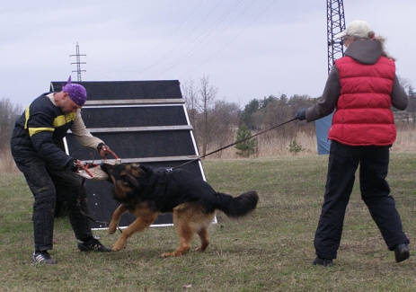 Training in Estonia 11. - 13. 4. 2008