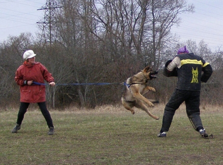 Training in Estonia 11. - 13. 4. 2008