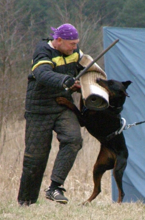 Training in Estonia 11. - 13. 4. 2008