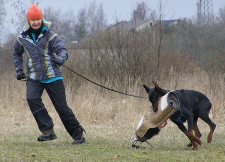 Training in Estonia 11. - 13. 4. 2008