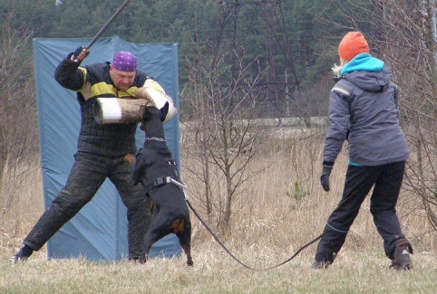 Training in Estonia 11. - 13. 4. 2008