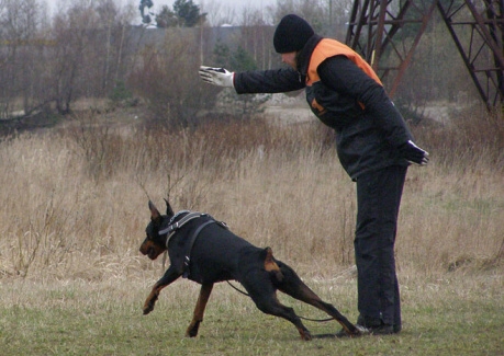 Training in Estonia 11. - 13. 4. 2008