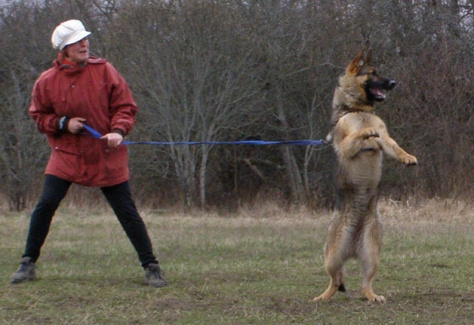 Training in Estonia 11. - 13. 4. 2008