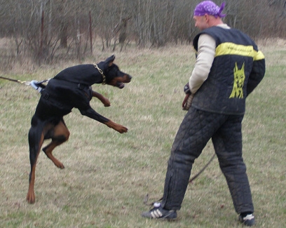 Training in Estonia 11. - 13. 4. 2008