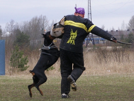 Training in Estonia 11. - 13. 4. 2008