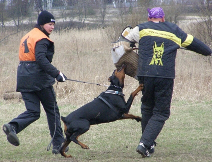 Training in Estonia 11. - 13. 4. 2008