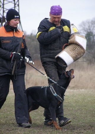 Training in Estonia 11. - 13. 4. 2008