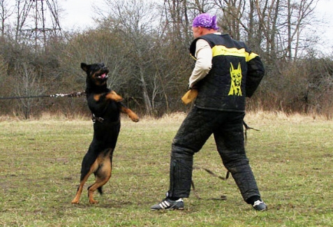 Training in Estonia 11. - 13. 4. 2008