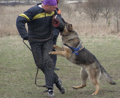 Training in Estonia 11. - 13. 4. 2008