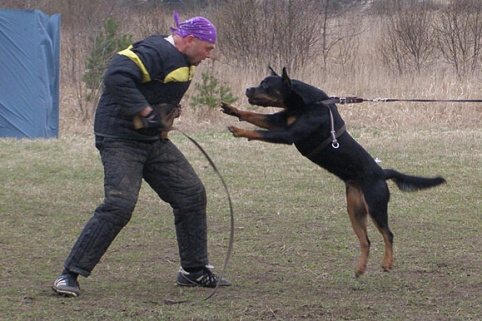 Training in Estonia 11. - 13. 4. 2008