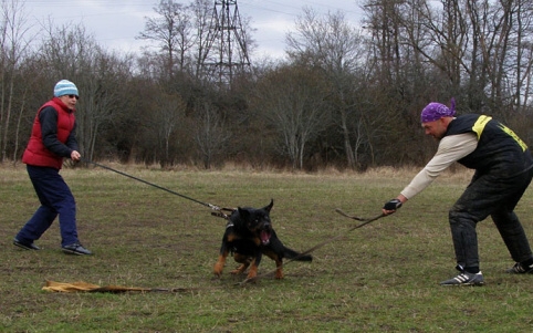 Training in Estonia 11. - 13. 4. 2008