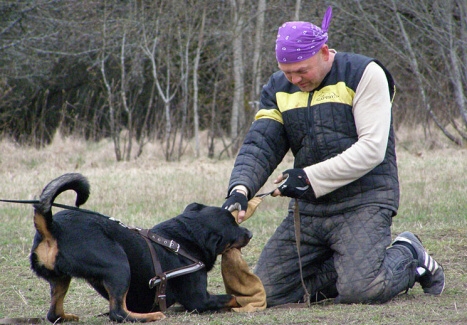 Training in Estonia 11. - 13. 4. 2008