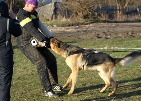 Training in Estonia 11. - 13. 4. 2008