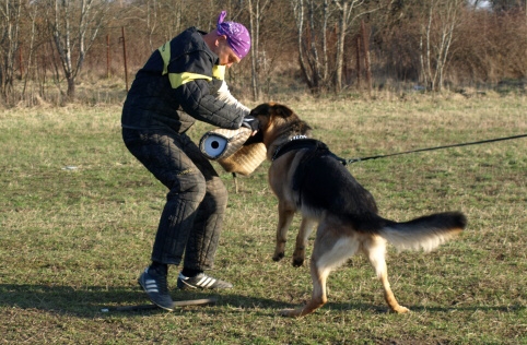 Training in Estonia 11. - 13. 4. 2008