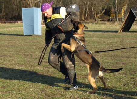 Training in Estonia 11. - 13. 4. 2008