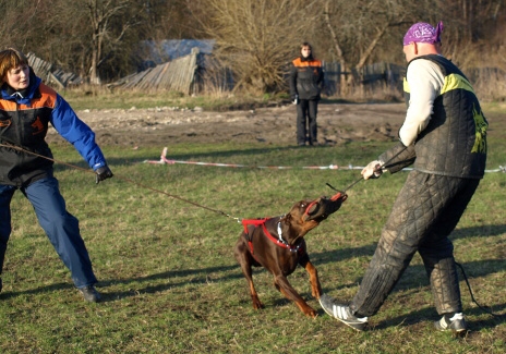 Training in Estonia 11. - 13. 4. 2008