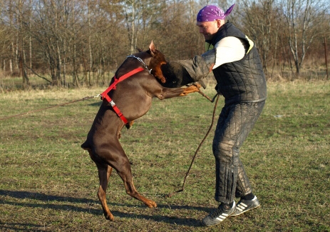 Training in Estonia 11. - 13. 4. 2008