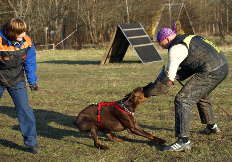 Training in Estonia 11. - 13. 4. 2008