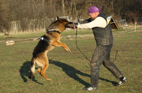 Training in Estonia 11. - 13. 4. 2008