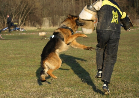 Training in Estonia 11. - 13. 4. 2008