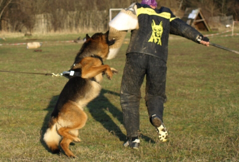 Training in Estonia 11. - 13. 4. 2008