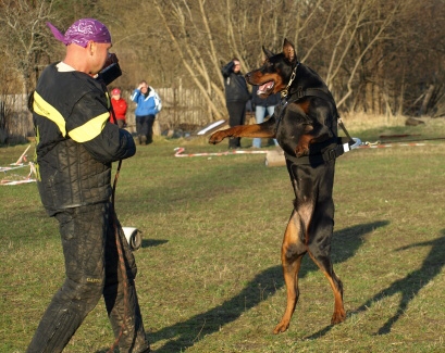 Training in Estonia 11. - 13. 4. 2008