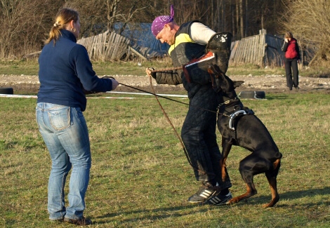 Training in Estonia 11. - 13. 4. 2008