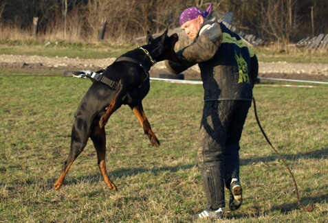 Training in Estonia 11. - 13. 4. 2008