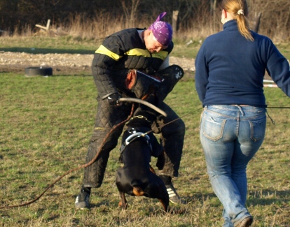 Training in Estonia 11. - 13. 4. 2008