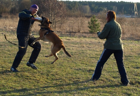 Training in Estonia 11. - 13. 4. 2008