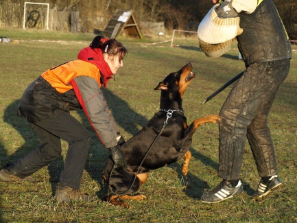 Training in Estonia 11. - 13. 4. 2008