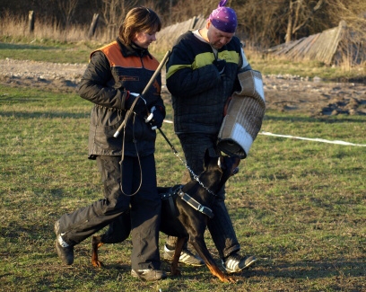 Training in Estonia 11. - 13. 4. 2008