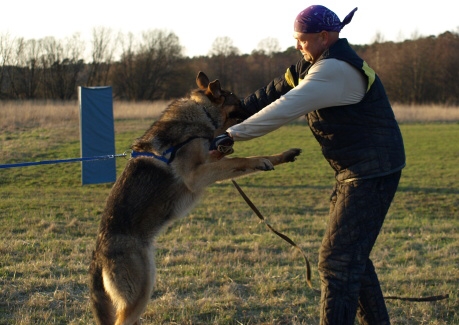 Training in Estonia 11. - 13. 4. 2008