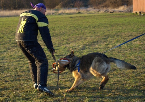 Training in Estonia 11. - 13. 4. 2008