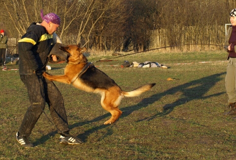 Training in Estonia 11. - 13. 4. 2008