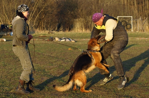 Training in Estonia 11. - 13. 4. 2008