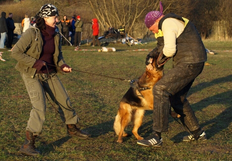 Training in Estonia 11. - 13. 4. 2008