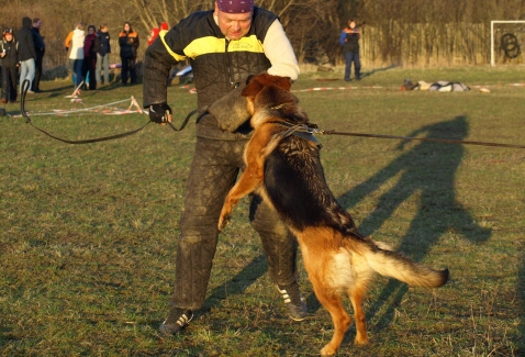 Training in Estonia 11. - 13. 4. 2008