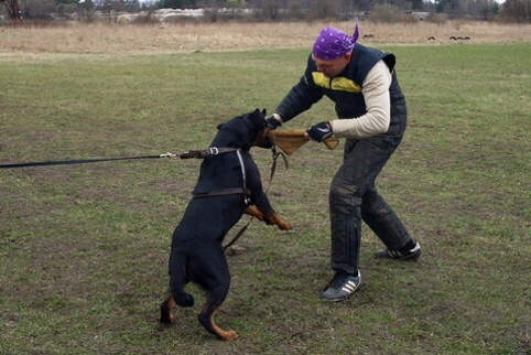 Training in Estonia 11. - 13. 4. 2008