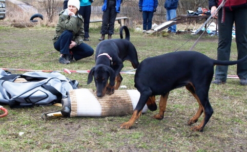 Training in Estonia 11. - 13. 4. 2008