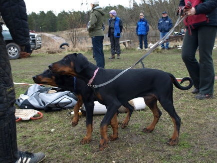 Training in Estonia 11. - 13. 4. 2008