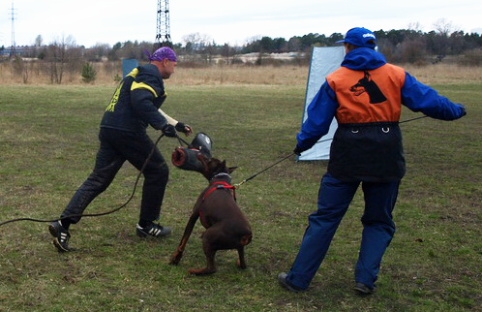 Training in Estonia 11. - 13. 4. 2008