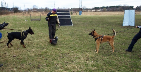 Training in Estonia 11. - 13. 4. 2008