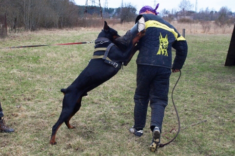 Training in Estonia 11. - 13. 4. 2008