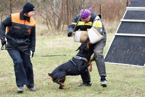 Training in Estonia 11. - 13. 4. 2008