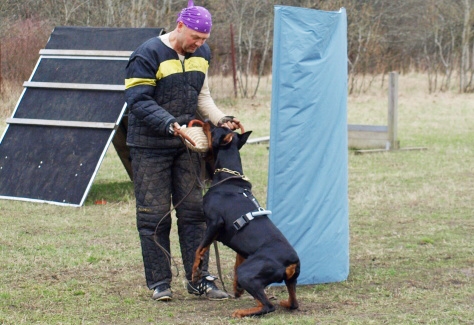 Training in Estonia 11. - 13. 4. 2008