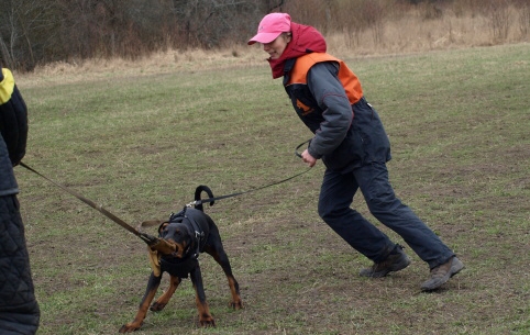 Training in Estonia 11. - 13. 4. 2008