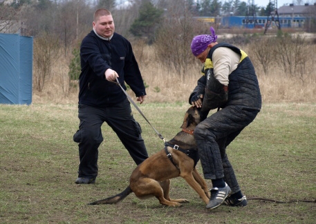 Training in Estonia 11. - 13. 4. 2008