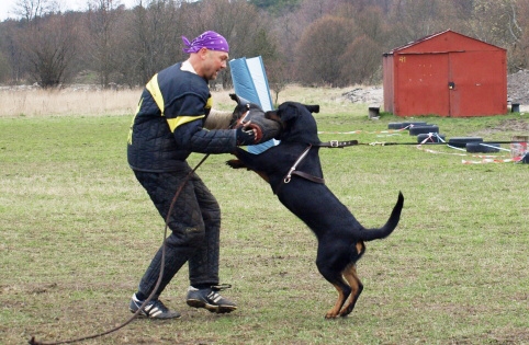 Training in Estonia 11. - 13. 4. 2008