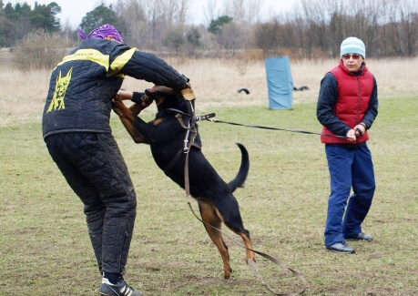 Training in Estonia 11. - 13. 4. 2008